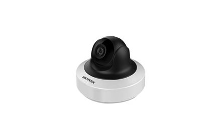 Hikvision 2MP WDR Mini PT Network Camera DS-2CD2F22FWD-IS - Cámara de vigilancia de red - panorámico / inclinación